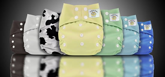 Tweedle Bugs One Size Snap Pocket Diapers